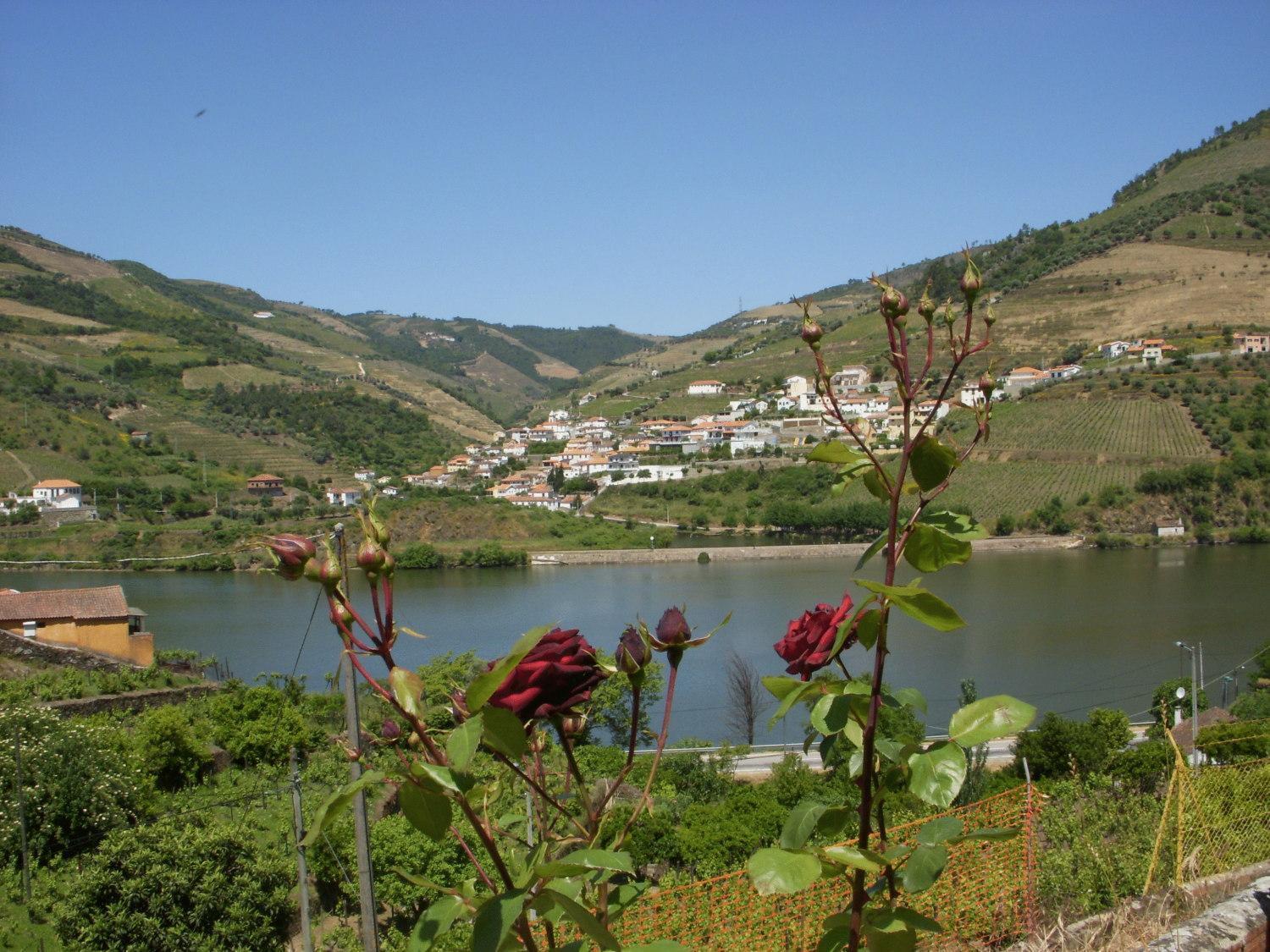 Отель Quinta Da Azenha Folgosa  Экстерьер фото