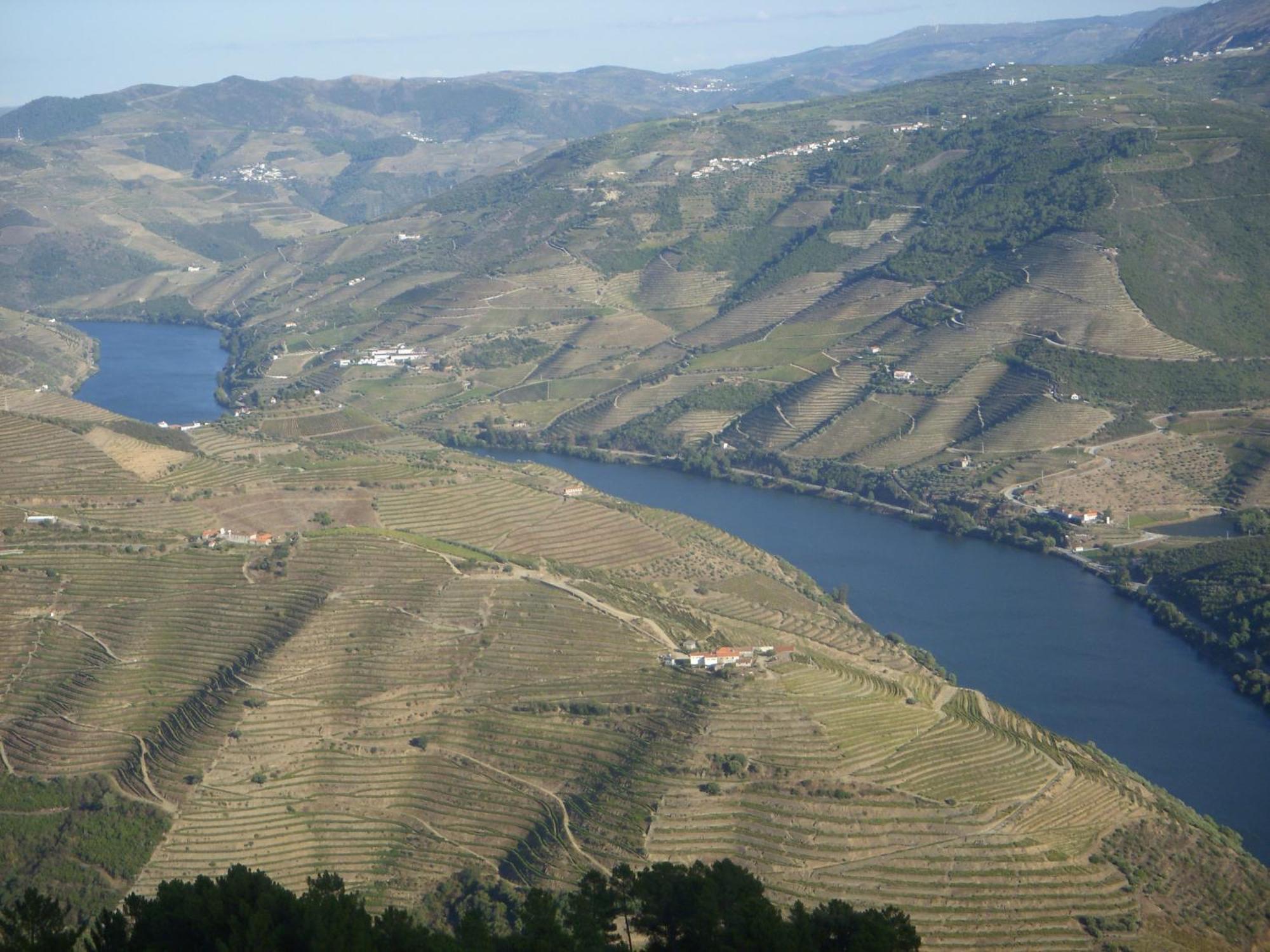 Отель Quinta Da Azenha Folgosa  Экстерьер фото